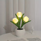 [LED Tulip Night Light] 1pc LED Simulation Tulip Night Light - USB Table Lamp Ornaments with Vase for Home Living Room Desktop Decor - Best Mother's Day Gift