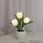 [LED Tulip Night Light] 1pc LED Simulation Tulip Night Light - USB Table Lamp Ornaments with Vase for Home Living Room Desktop Decor - Best Mother's Day Gift