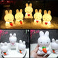 1pc Cute Rabbit Lamp, Girl LED Night Light, Bedroom Living Room Luminous Small Decoration Light, Creative Cartoon Rabbit Decoration Non-plug-in Small Table Lamp, Gift Light Rabbit Easter Gift
