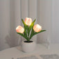 [LED Tulip Night Light] 1pc LED Simulation Tulip Night Light - USB Table Lamp Ornaments with Vase for Home Living Room Desktop Decor - Best Mother's Day Gift
