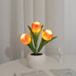 [LED Tulip Night Light] 1pc LED Simulation Tulip Night Light - USB Table Lamp Ornaments with Vase for Home Living Room Desktop Decor - Best Mother's Day Gift