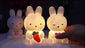 1pc Cute Rabbit Lamp, Girl LED Night Light, Bedroom Living Room Luminous Small Decoration Light, Creative Cartoon Rabbit Decoration Non-plug-in Small Table Lamp, Gift Light Rabbit Easter Gift